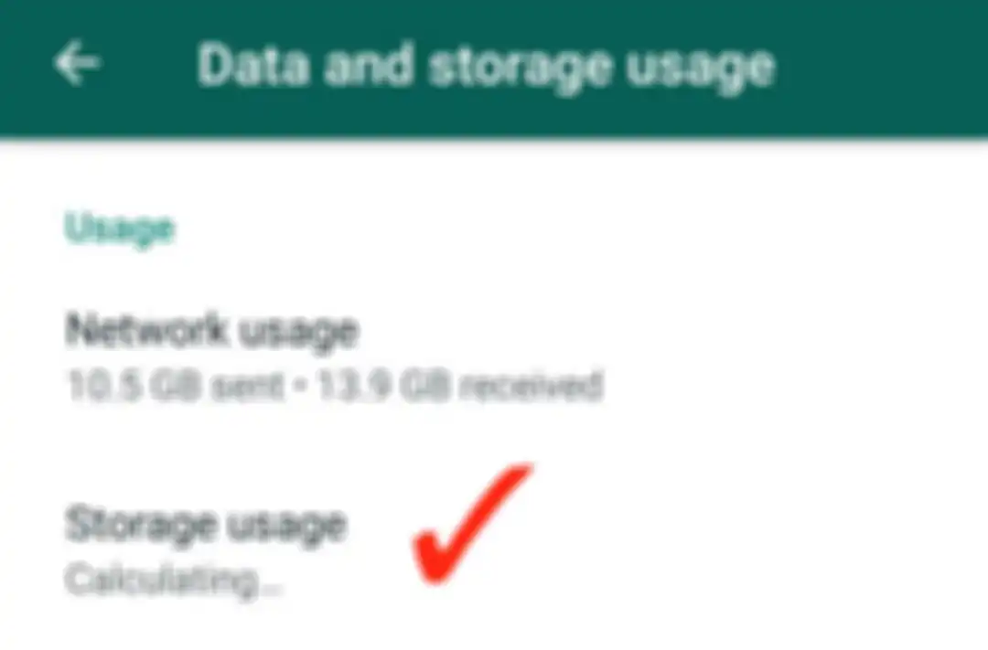Settings > Data and Storage Usage > Storage Usage.