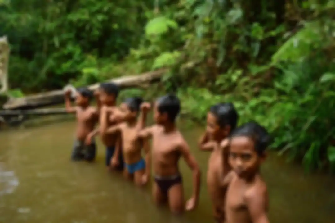 Anak-anak Suku Anak Dalam atau Orang Rimba bermain di sungai. Orang Rimba menguburkan uang Rp 1,5 miliar di dalam tanah hutan gegara alasan ini. 