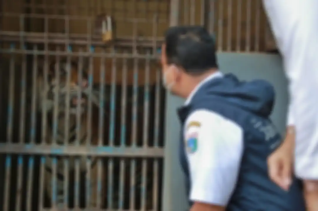 Gubernur DKI Jakarta Anies Baswedan menjenguk 2 warga Jakarta yang terpapar virus Corona. Anies enggan memaksa sang pasien menjalani isolasi di Wisma Atlet Kemayoran.