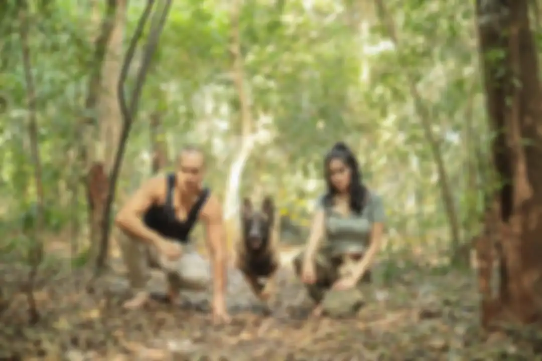 Anjing milik artis Bima Aryo terkam ART hingga tewas