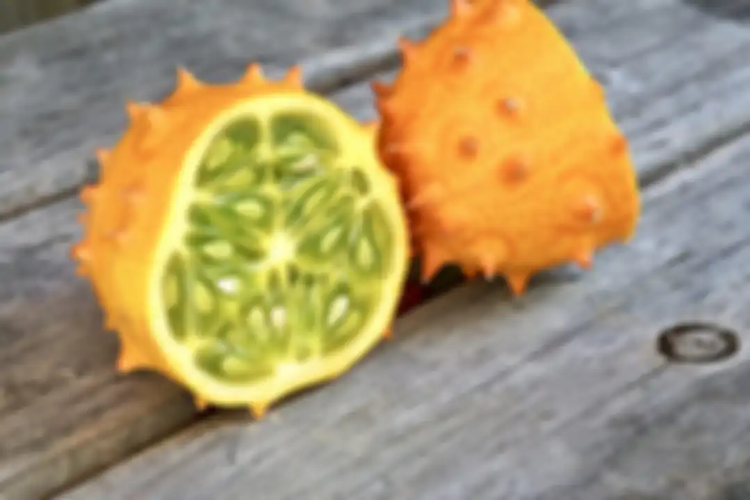 Melon bertanduk