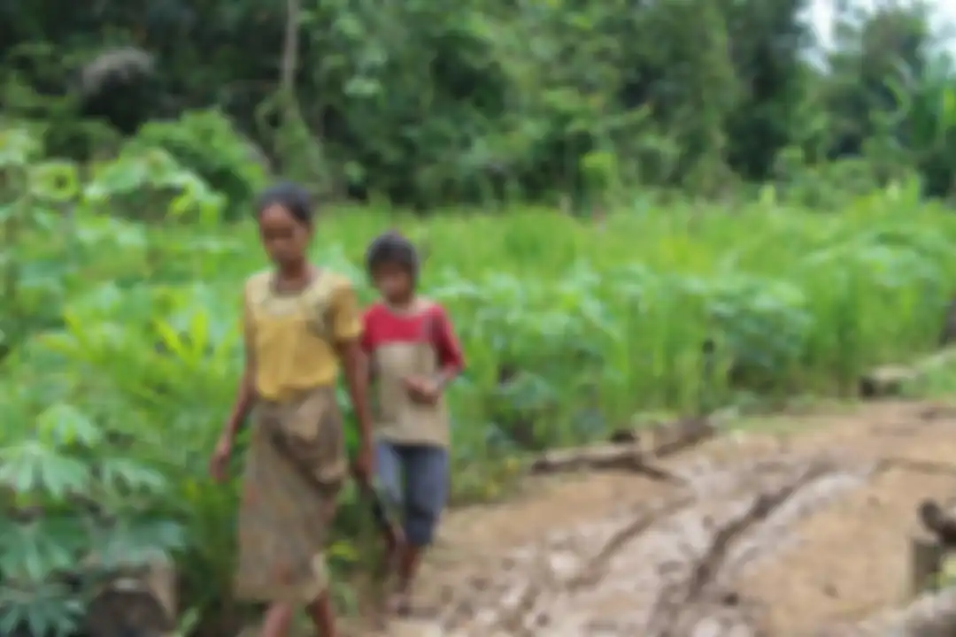 Anak-anak Suku Anak Dalam atau Orang Rimba berjalan di hutan. Orang Rimba menguburkan uang Rp 1,5 miliar di dalam tanah hutan gegara alasan ini. 