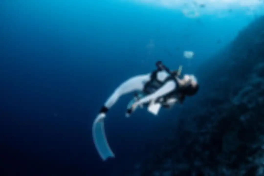 Tentu saja, foto Gisel sedang menyelam di kawasan Maratua, Kepulauan Derawan itu mendapatkan komentar dari netizen. 