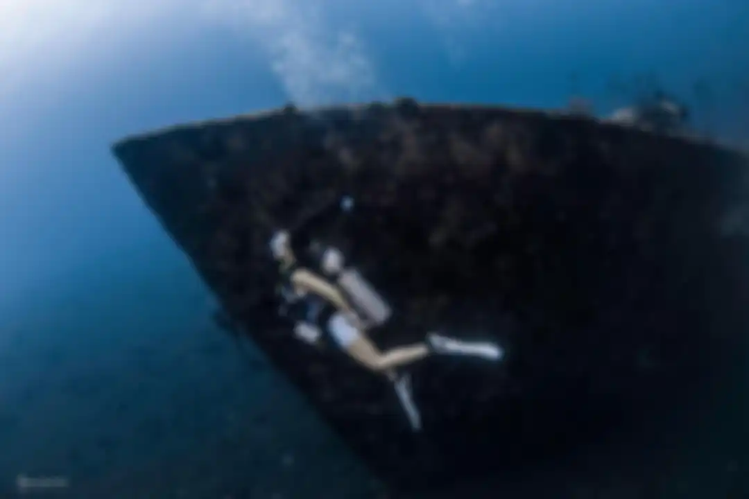 Gisel pamer foto diving atau menyelam di Parigi, Sulawesi Tengah. Dia mengaku gemes melihat hewan unik ini. 