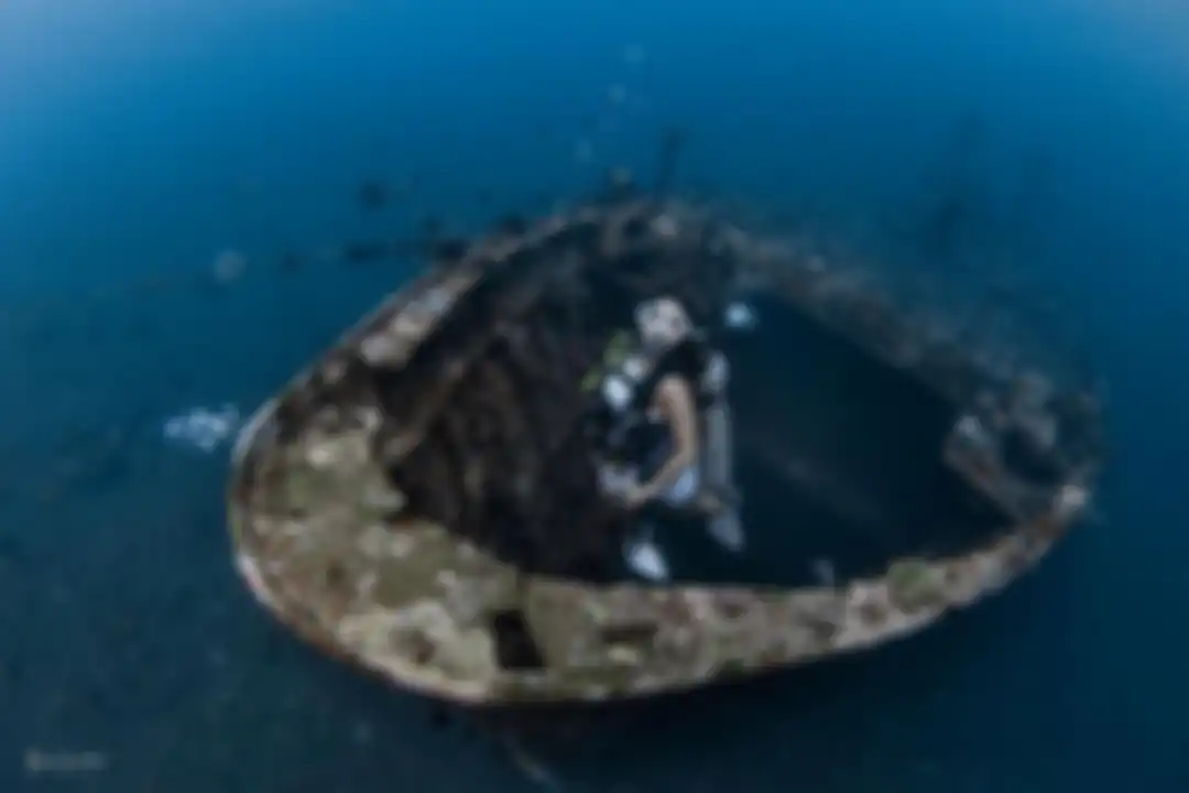 Gisel pamer foto diving atau menyelam di Parigi, Sulawesi Tengah. Dia mengaku gemes melihat hewan unik ini. 