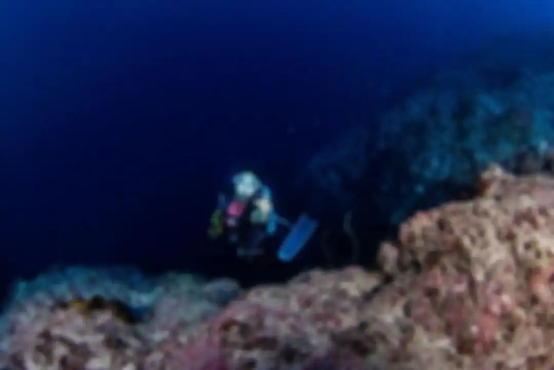 Tentu saja, foto Gisel sedang menyelam di kawasan Maratua, Kepulauan Derawan itu mendapatkan komentar dari netizen. 