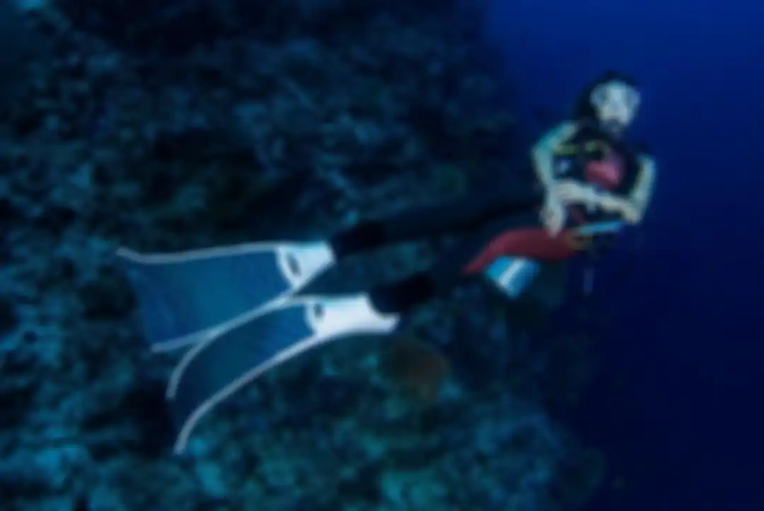 Tentu saja, foto Gisel sedang menyelam di kawasan Maratua, Kepulauan Derawan itu mendapatkan komentar dari netizen. 