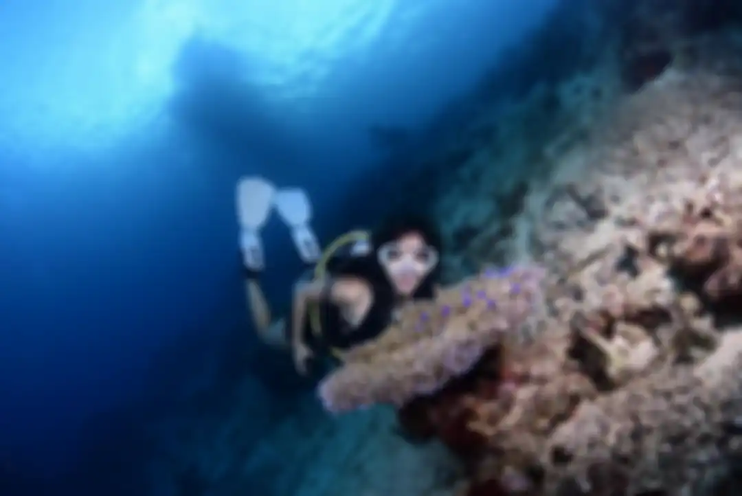 Gisel pamer foto diving atau menyelam di Parigi, Sulawesi Tengah. Dia mengaku gemes melihat hewan unik ini. 