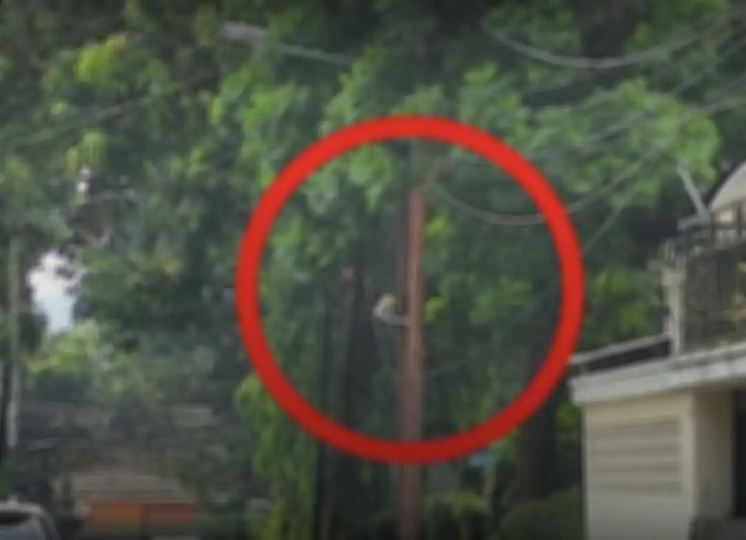 Mantan Kepala BAIS TNI Soleman B Ponto punya jawaban sederhana soal pelaku penembakan Brigadir Yosua. Biarpun CCTV rusak.