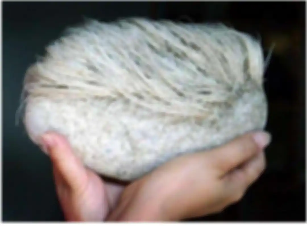 Batu aneh yang memiliki rambut di atasnya.