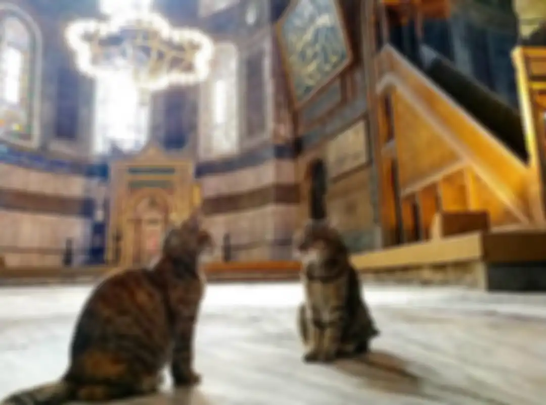Gli dan saudaranya Kizim