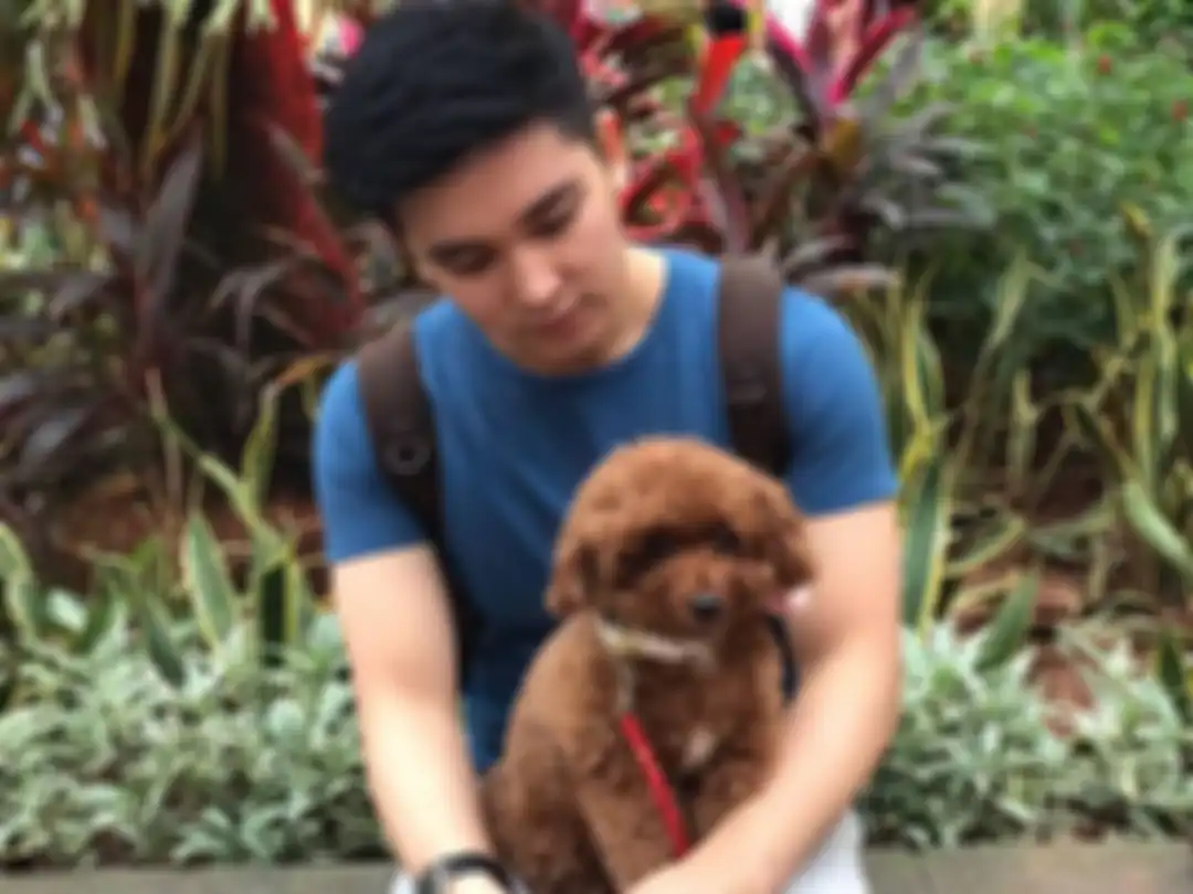 Pecinta binatang, Ervan Surya memelihara seekor anjing poodle.