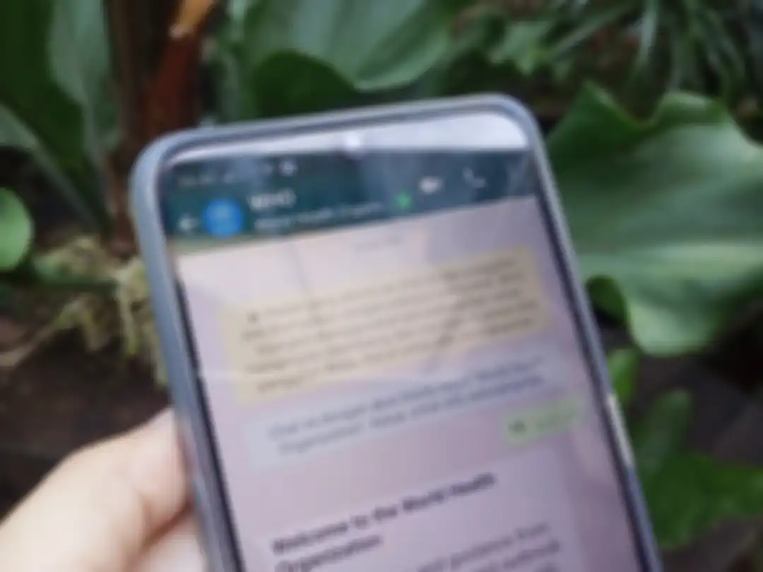 Chabot dengan Organisasi Kesehatan Dunia (WHO) di aplikasi WhatsApp.