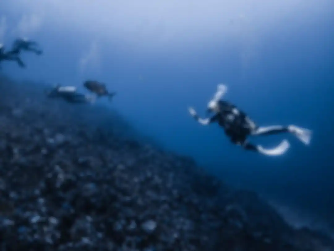 Gisel bangga memajang foto terjepit di antara karang indah Kepulauan Alor. Dia terlihat bahagia enak-enak kejepit di bawah laut.