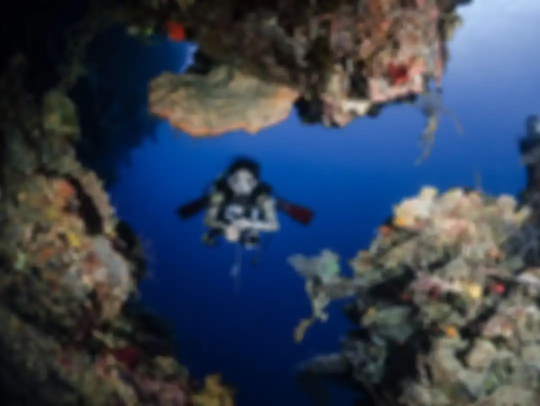 Gisel puas bisa memaerkan foto diving dengan posisi dijepit. Mantan istri Gading Marten ini membiarkan Gempi bermain sendirian di Bali. 