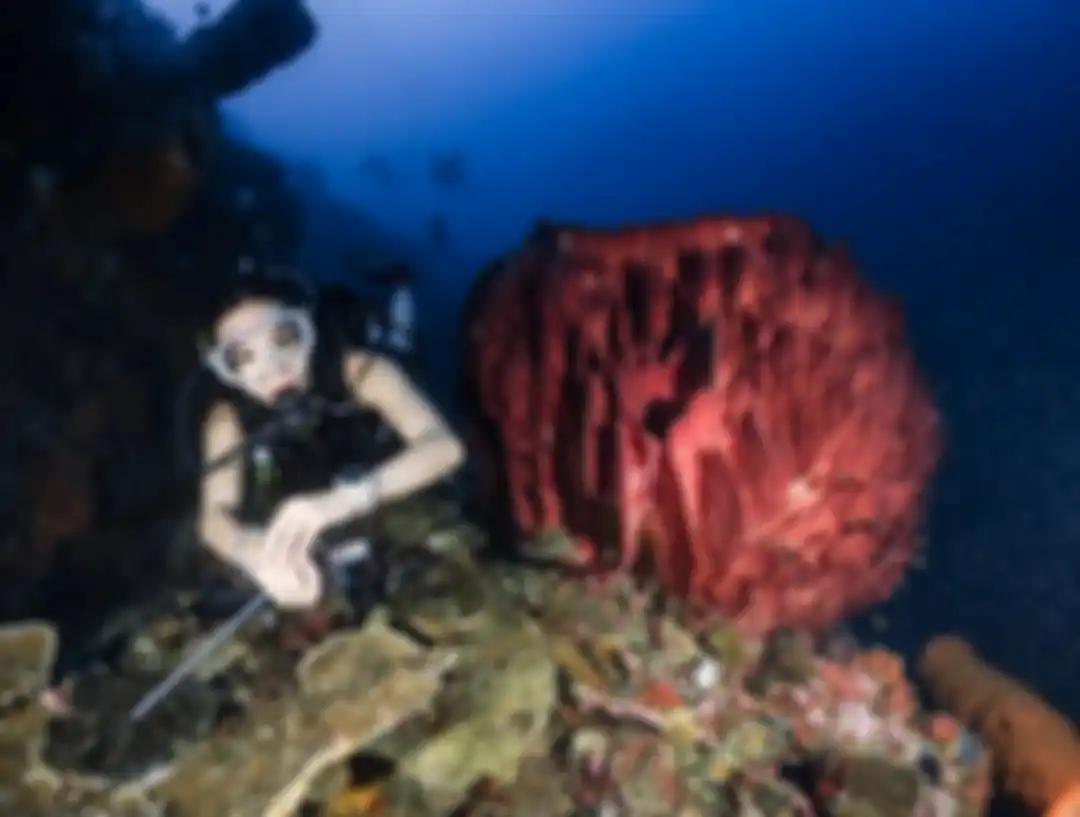 Gisel mengunggah foto diving sembari pamer barang jualan. Dia ketagihan diving di Kepulauan Togean di Sulawesi Tengah.