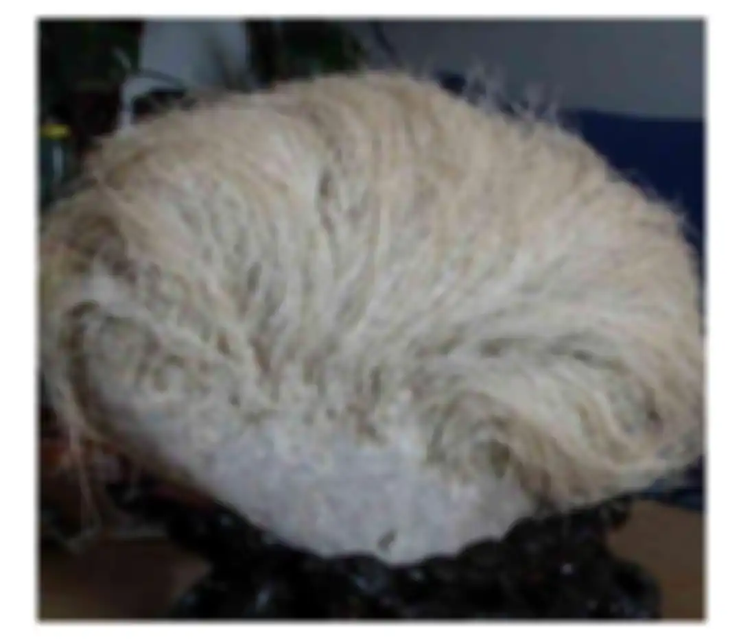 Batu yang memiliki rambut.