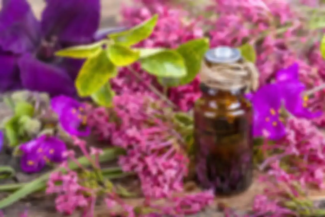 Clary sage untuk menghilangkan rasa sakit.