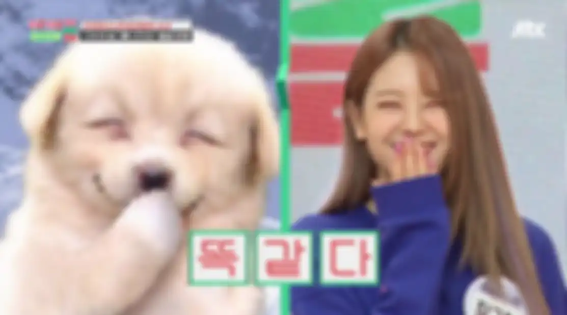 Jang Gyuri Fromis_9 Puppy Eyes
