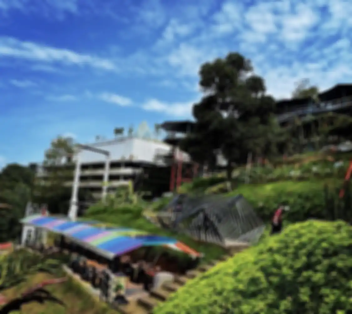 Berikut ini 5 tempat wisata nyaman di Bandung yang bikin betah berlama-lama. Waktu healing pun jadi nambah. Intip foto aestheticnya.