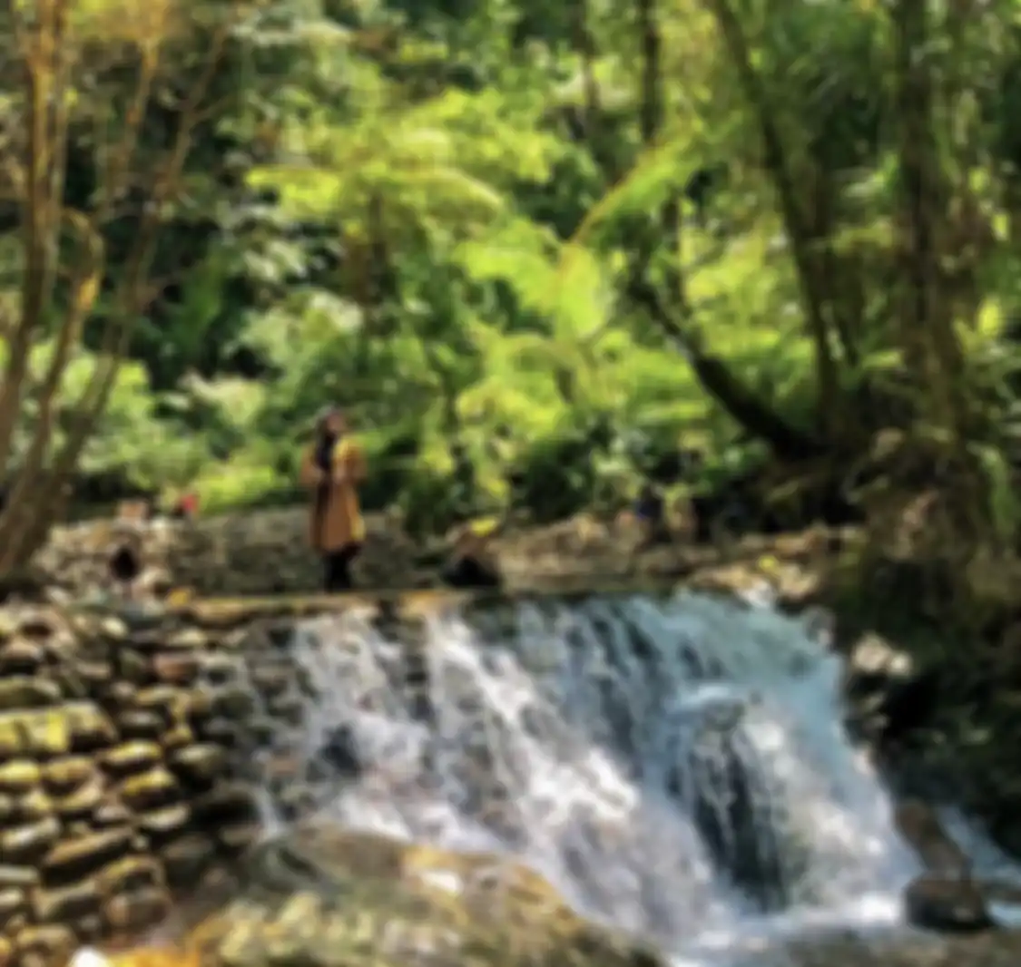 Lembah Tepus tempat wisata alam di Bogor menyajikan foto aesthetic yang banyak dikomentari. Jadi favorit karena alasan ini.