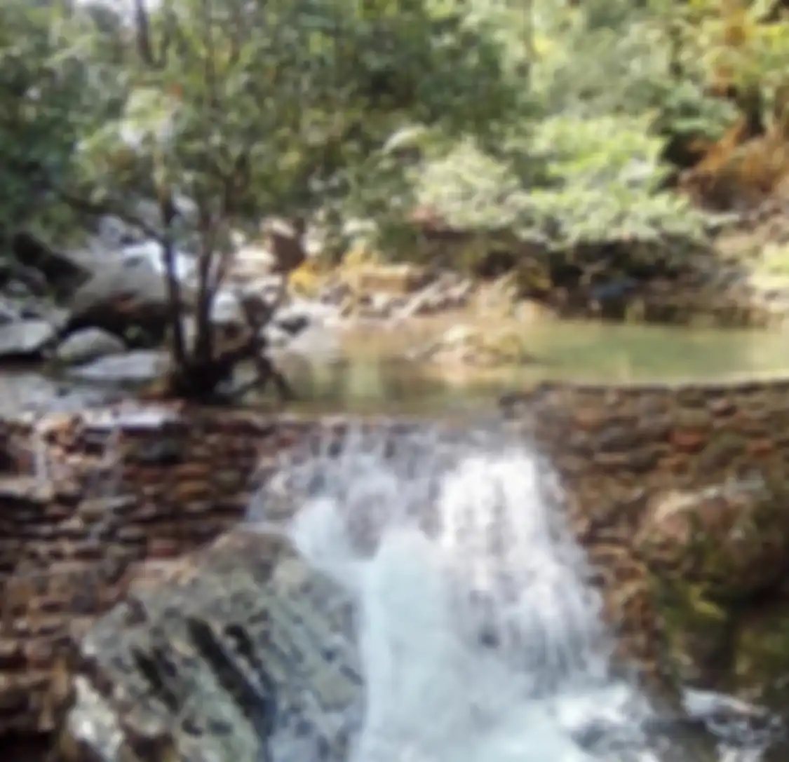 Lembah Tepus tempat wisata alam di Bogor menyajikan foto aesthetic yang banyak dikomentari. Jadi favorit karena alasan ini.