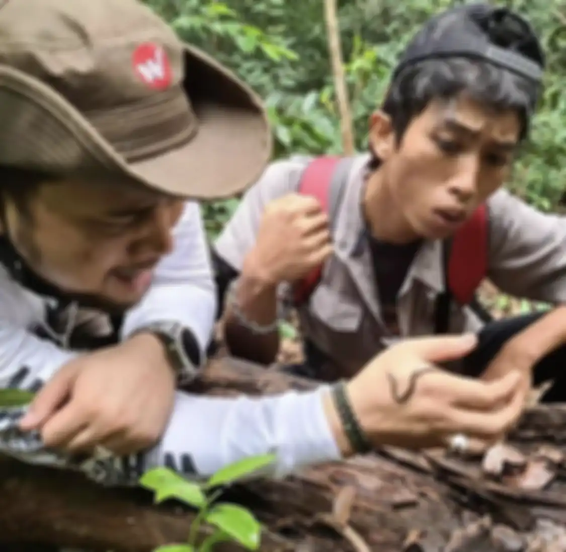 Kronologi tewasnya Alprih Priyono pawang ular yang digigit king cobra tak diungkap. Foto jenazahnya ditangisi. 