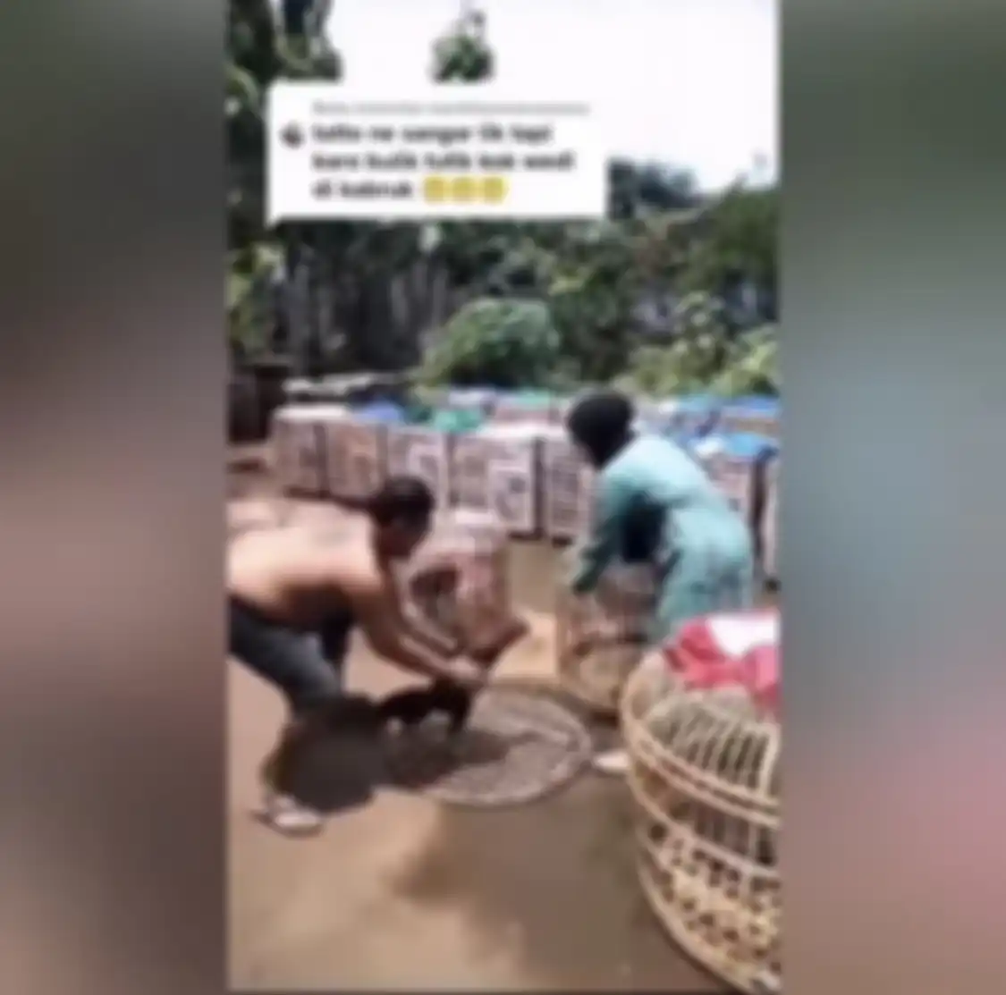 Selagi enak-enak bermain ayam, pria bertato itu mendadak kicep. Dia langsung menurut dijemput istri yang berkerudung. Foto tampangnya viral.