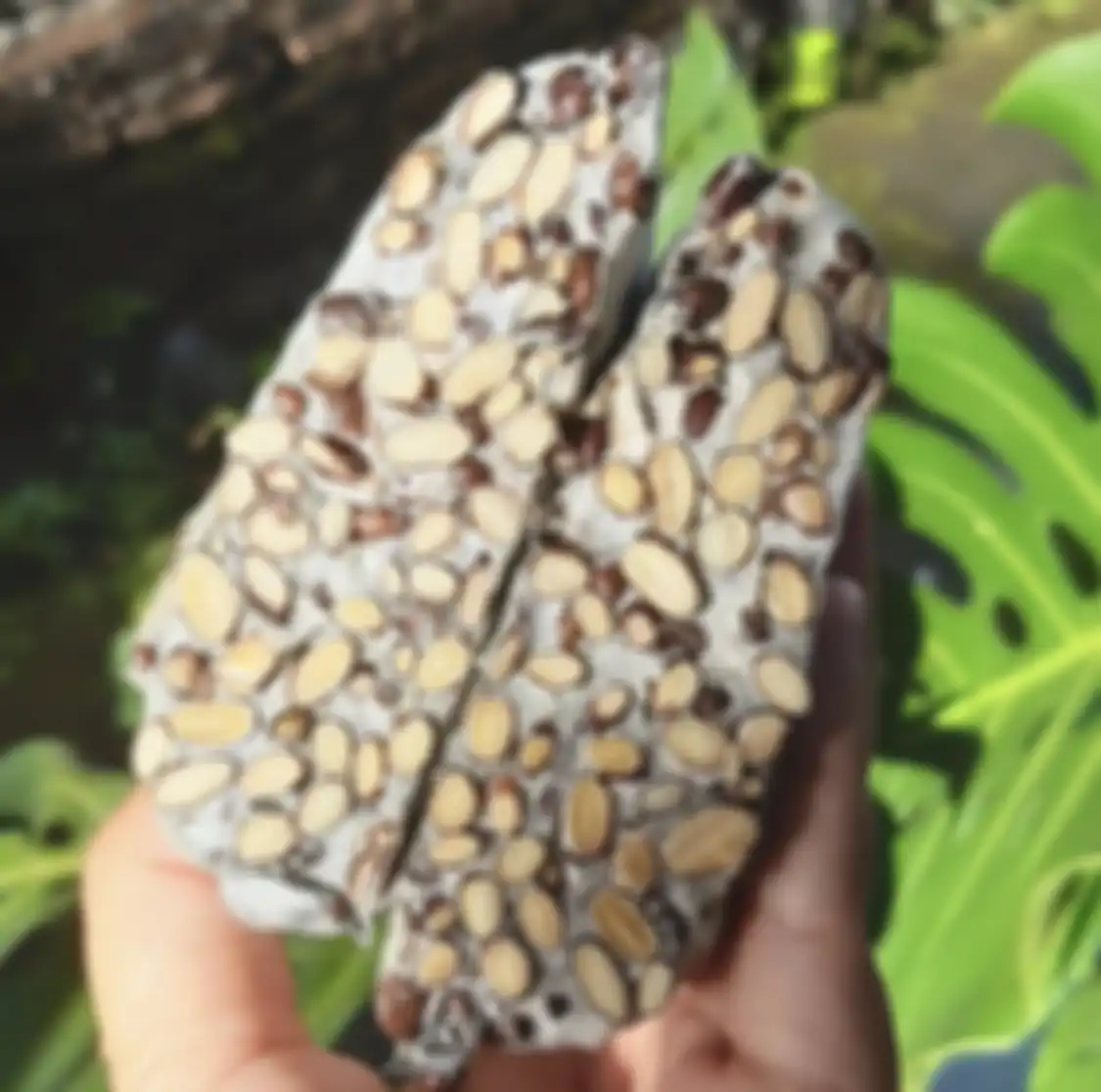 Inilah 10 foto tempe hasil olahan chef kelas dunia yang bikin kita bangga. Ternyata bukan hanya tempe mendoan lho!