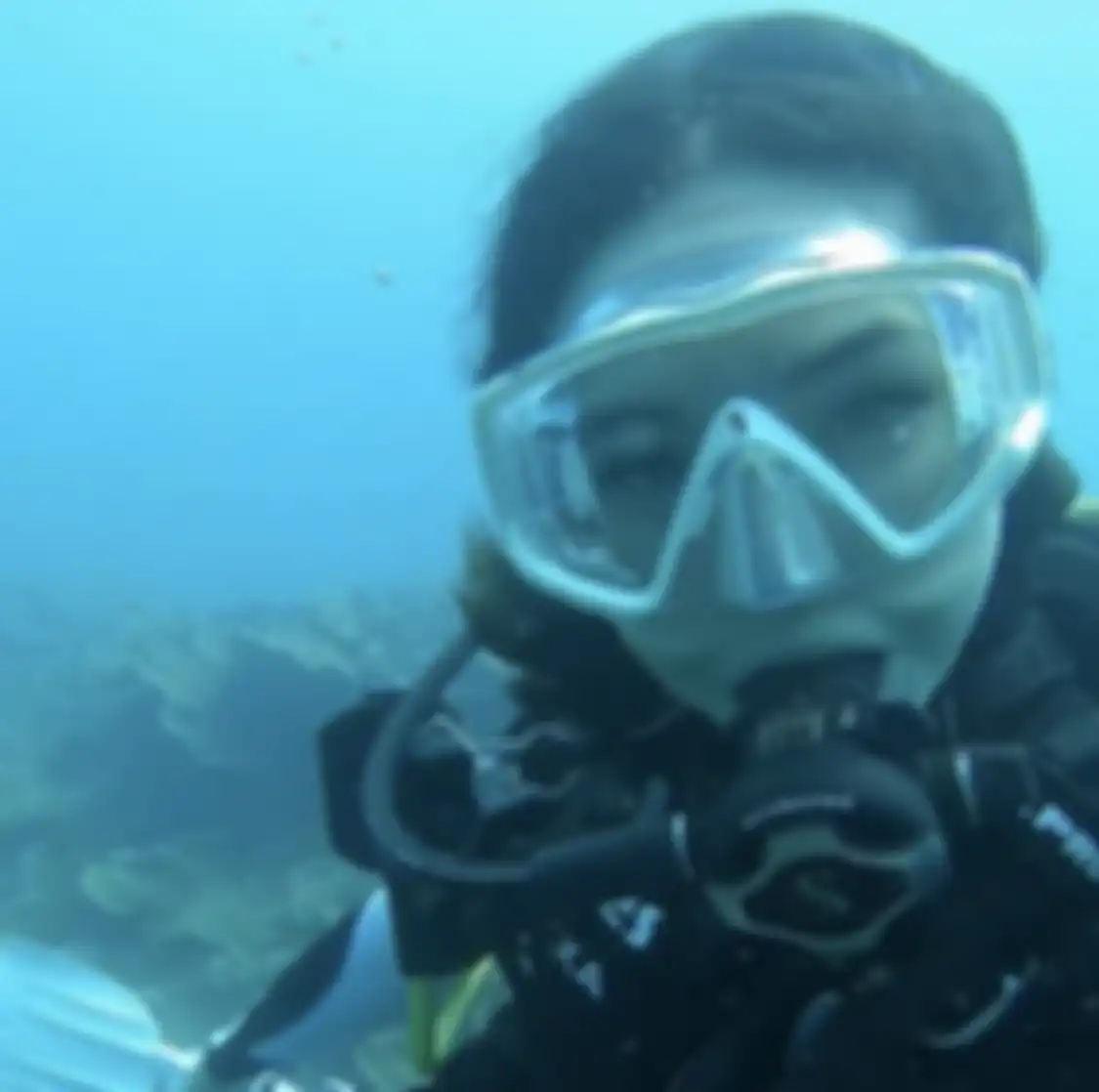 Gisel sengaja memilih trip diving ke Pulau Sangiang biarpun gagal dapat foto cantik. Ternyata dia masih bisa bersyukur bisa berjumpa satwa langka.
