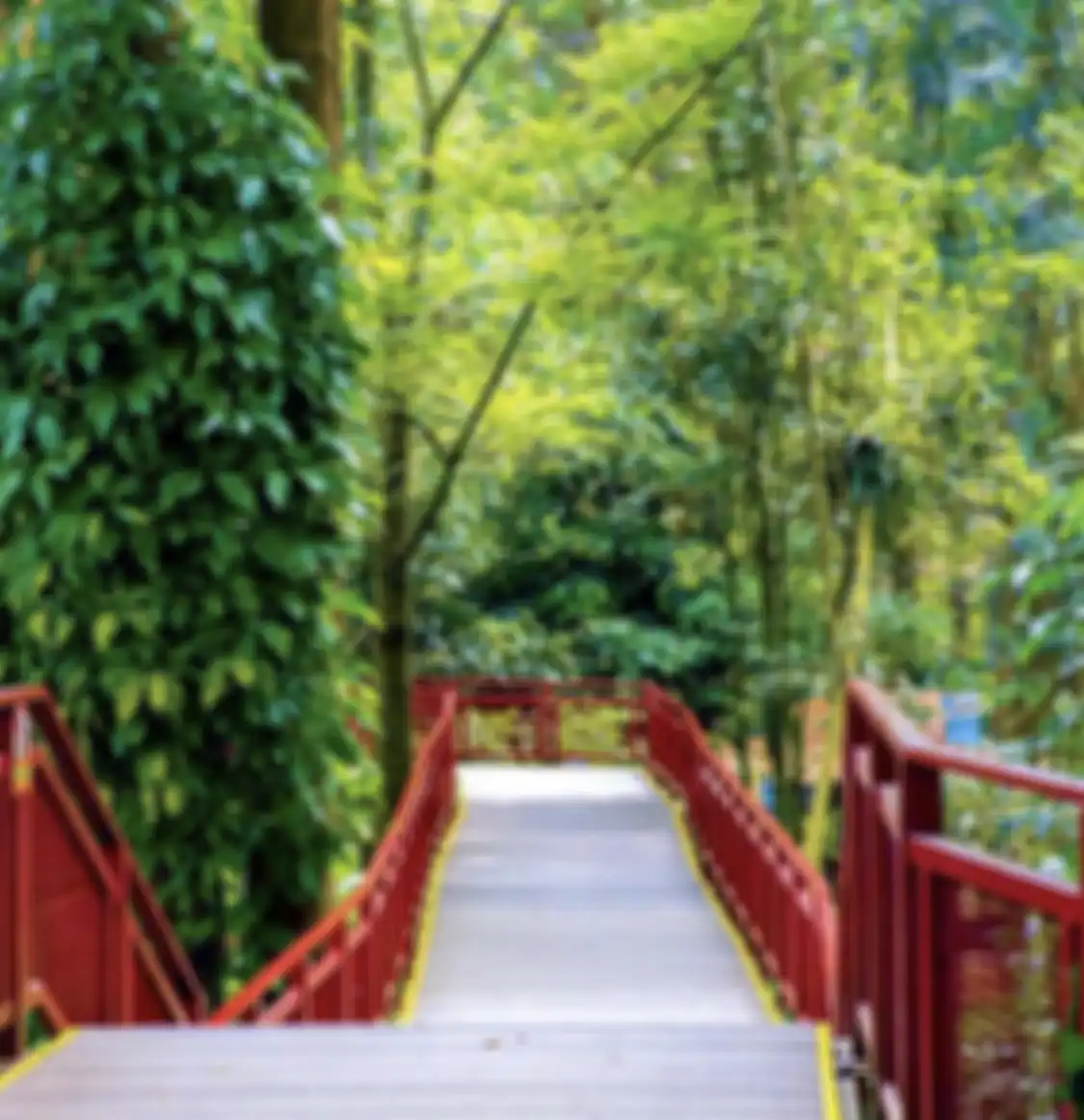 Cimory Riverside buka jam berapa? Inilah ulasan spot foto aesthetic tempat wisata hits di Bogor Jawa Barat.