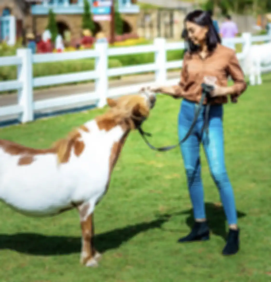 Berapa harga tiket masuk Cimory Dairyland Puncak? Tempat wisata di Bogor yang menyajikan banyak spot foto aesthetic.