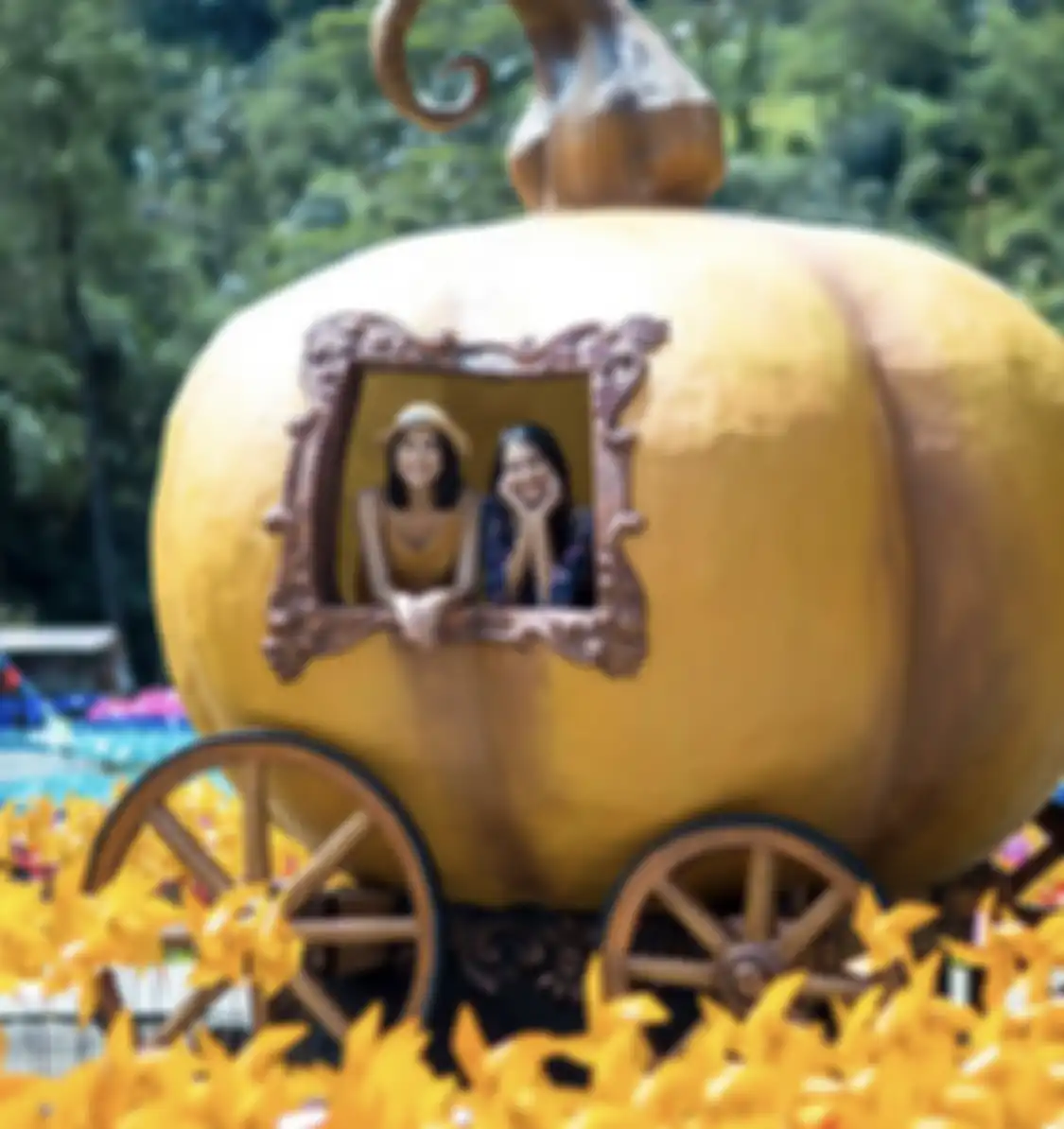 Berapa harga tiket masuk Cimory Dairyland Puncak? Tempat wisata di Bogor yang menyajikan banyak spot foto aesthetic.