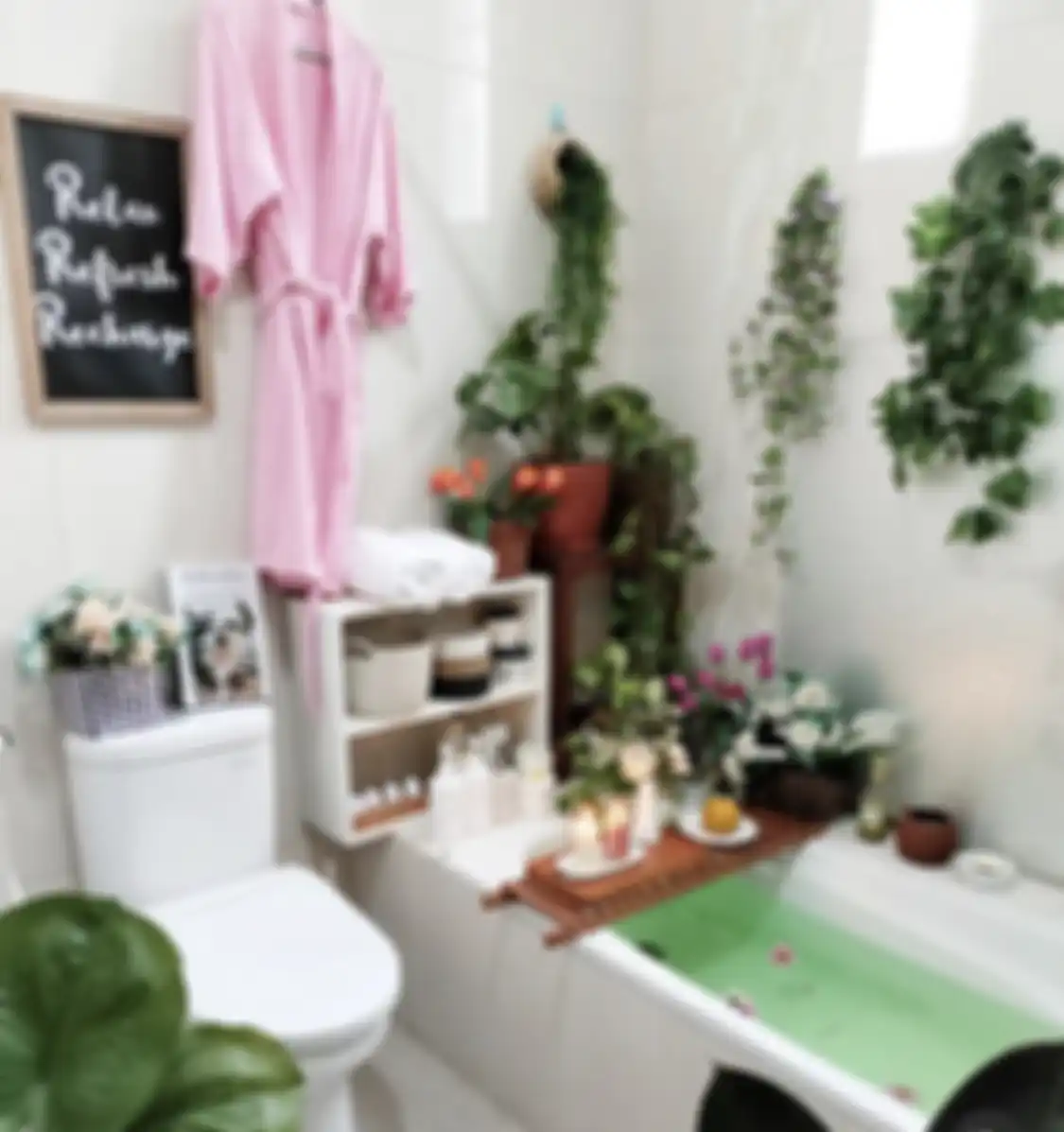 Ternyata ini alasan kenapa tanaman hias sengaja ditaruh di kamar mandi rumah minimalis. Foto interiornya sampai diulas.