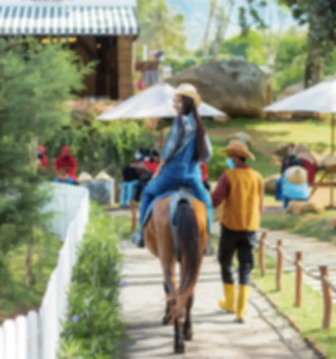 Berapa harga tiket masuk Cimory Dairyland Puncak? Tempat wisata di Bogor yang menyajikan banyak spot foto aesthetic.