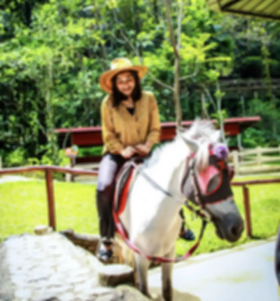 Cimory Riverside buka jam berapa? Inilah ulasan spot foto aesthetic tempat wisata hits di Bogor Jawa Barat.