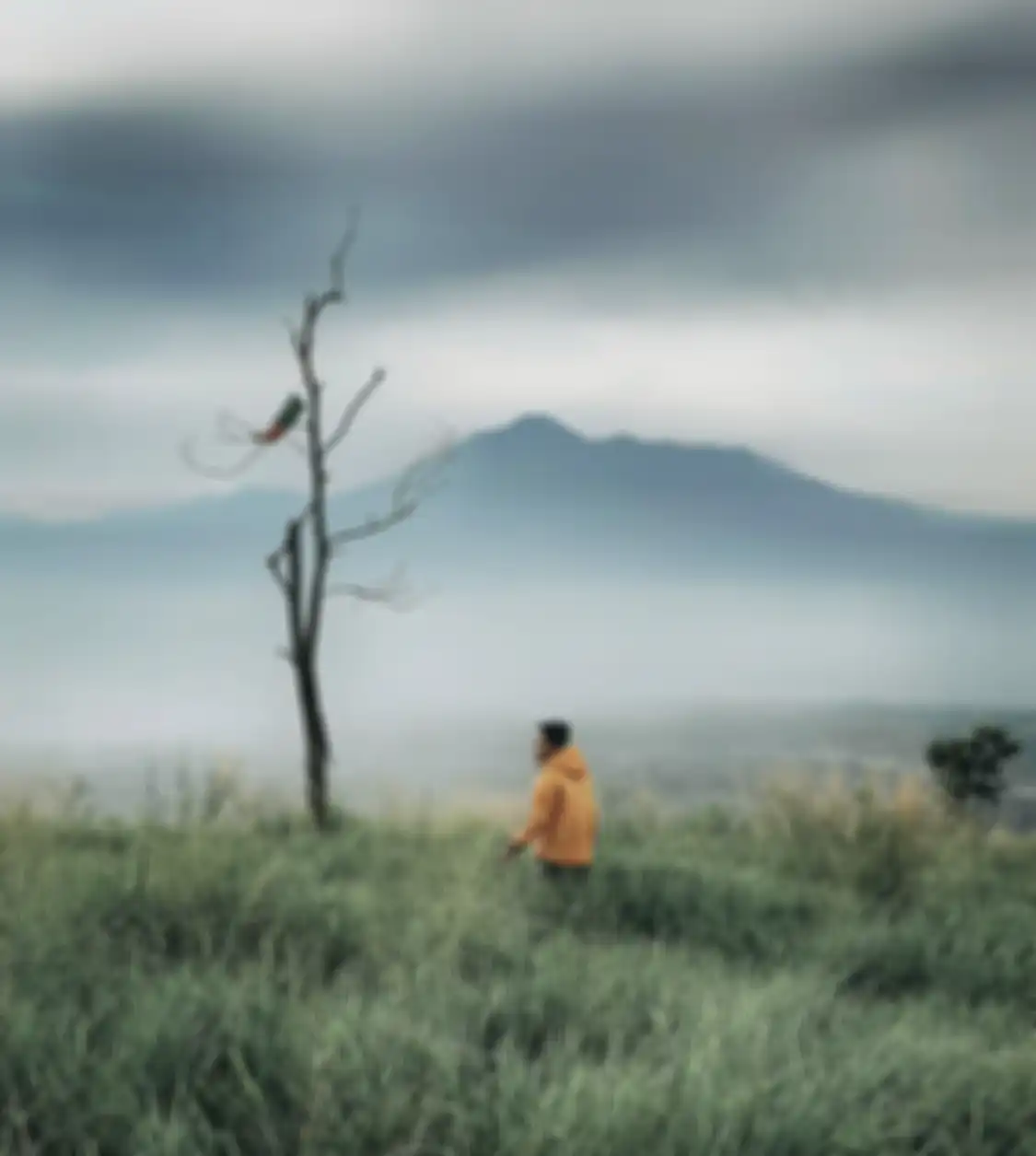 5 foto cantik tempat wisata alam di Bogor yang cocok buat trekking santai bareng pasangan atau keluarga.