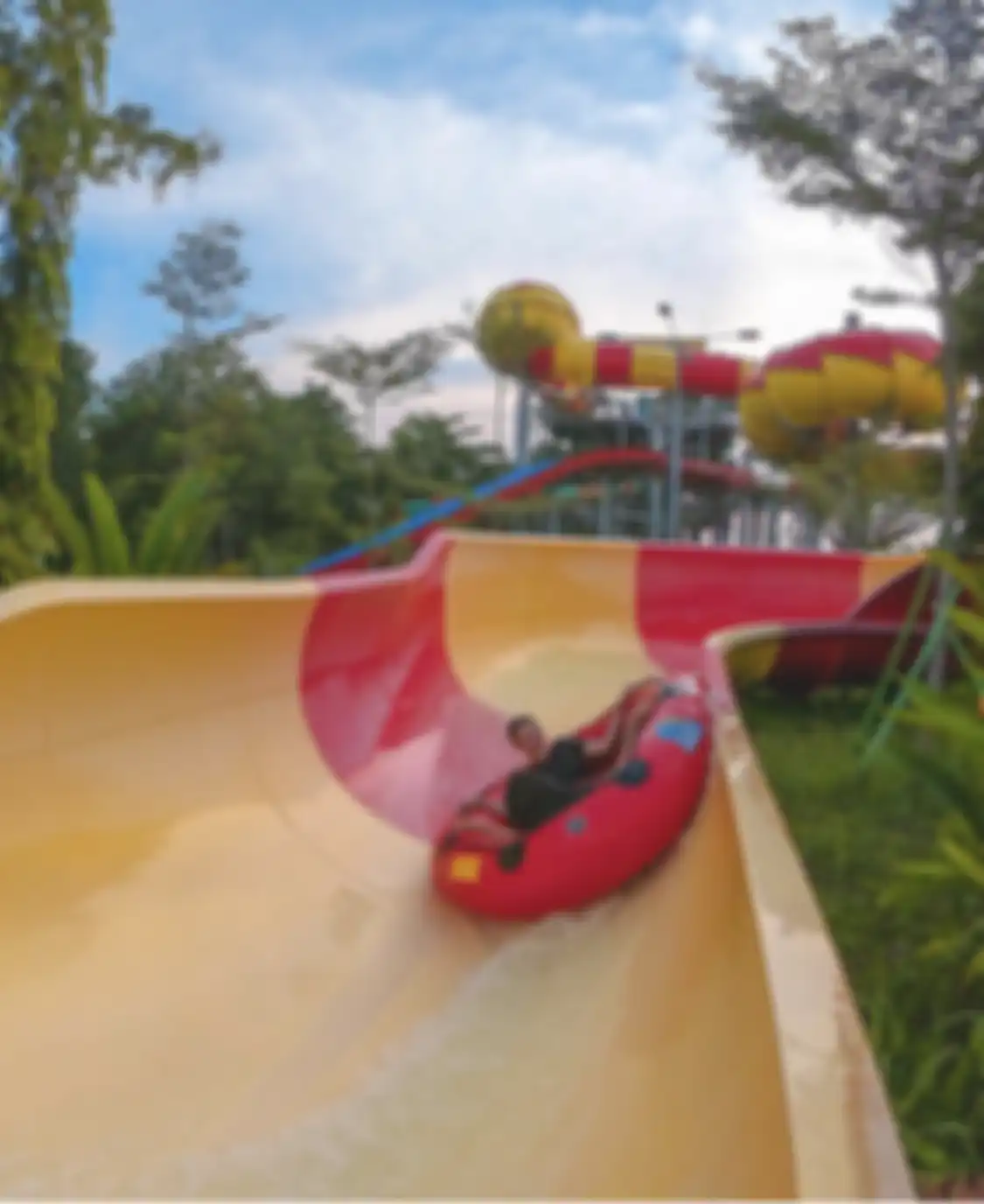 8 foto tempat wisata seru di Taan Impian Jaya Ancol dengan promo flash sale 11.11 murah. 