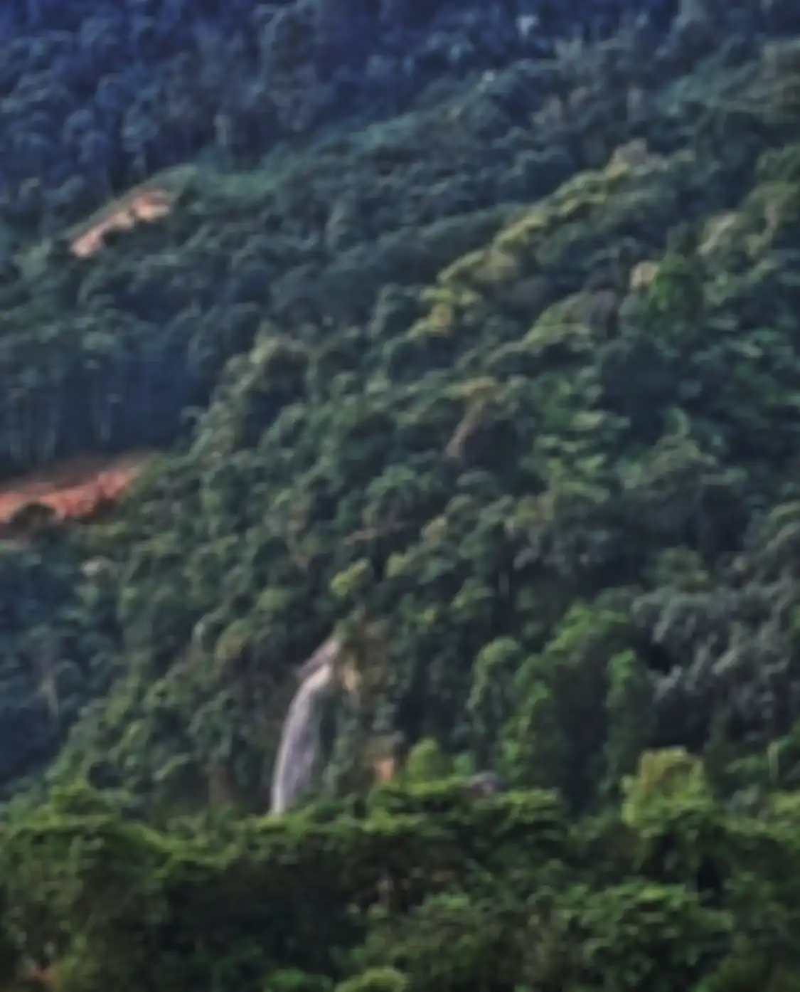 Inilah 7 tenpat wisata di Sentul Bogor yang cocok buat hunting foto estetik. Tempat wisata ini menyajikan panorama alam yang indah.