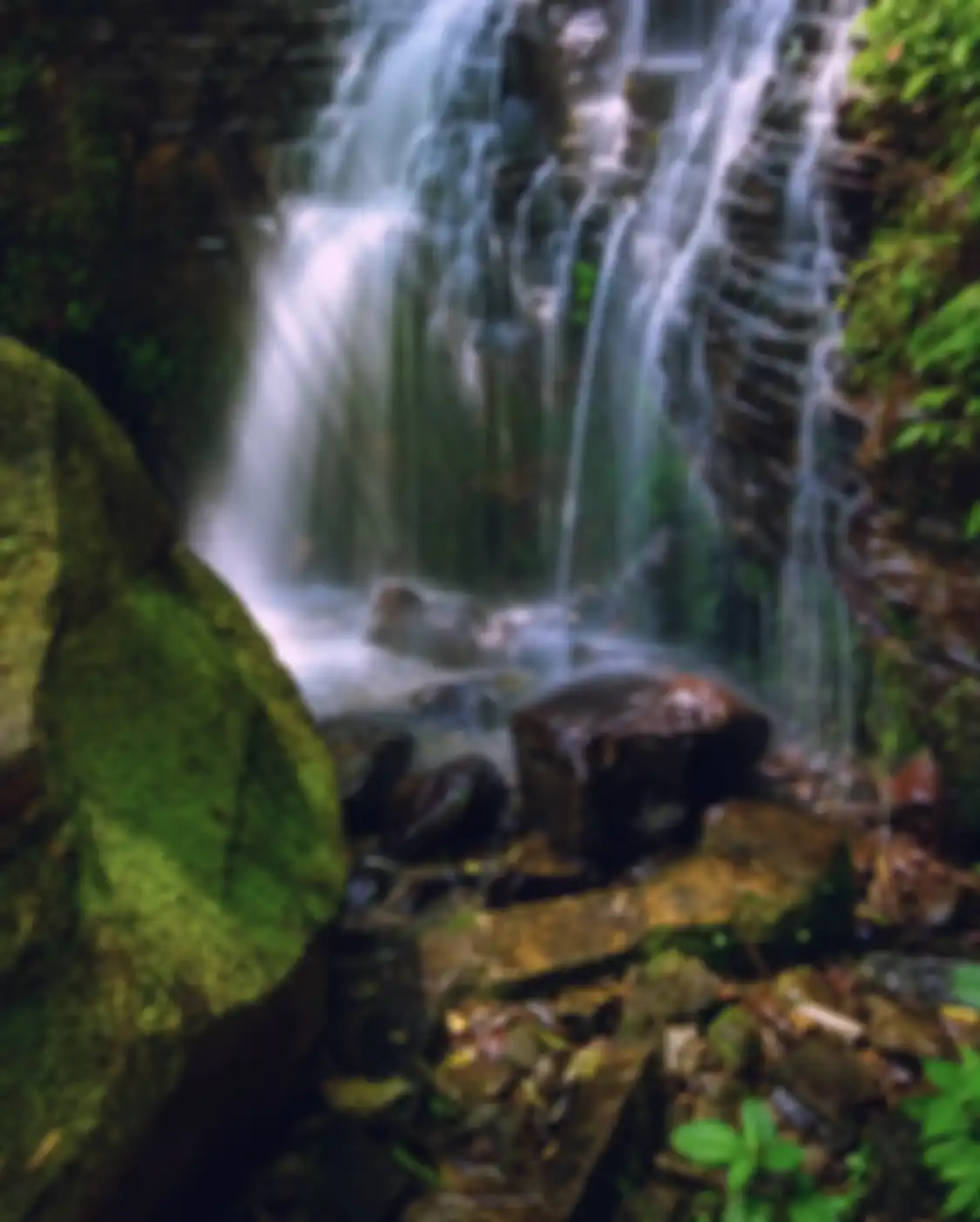 Salah satu tempat wisata di Purwakarta yang menjamin kita dapat foto estetik buat konten di Instagram adalah curug atau air terjun. 