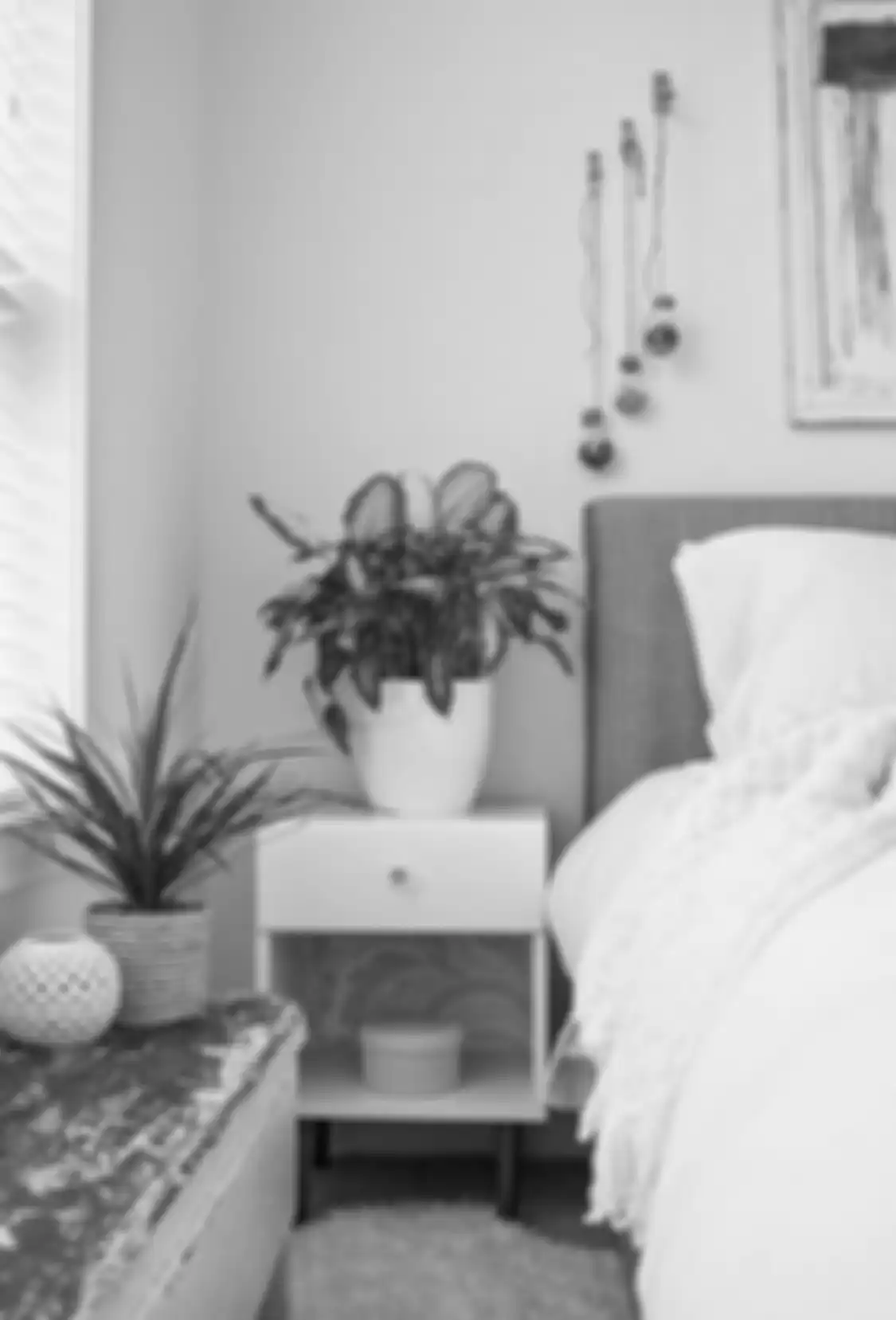 Ternyata aturan feng shui mengatakan tanaman sebaiknya dipindah dari kamar tidur. Begini penjelasan lengkapnya.