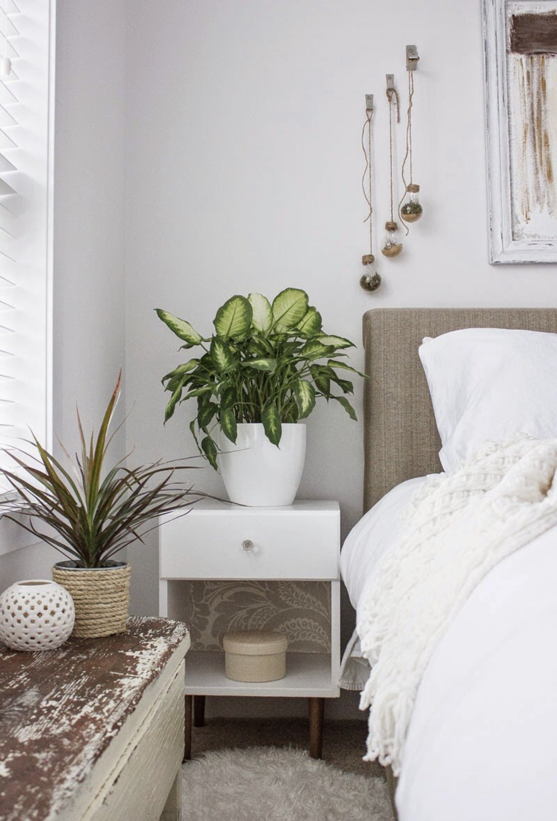 Ternyata aturan feng shui mengatakan tanaman sebaiknya dipindah dari kamar tidur. Begini penjelasan lengkapnya.