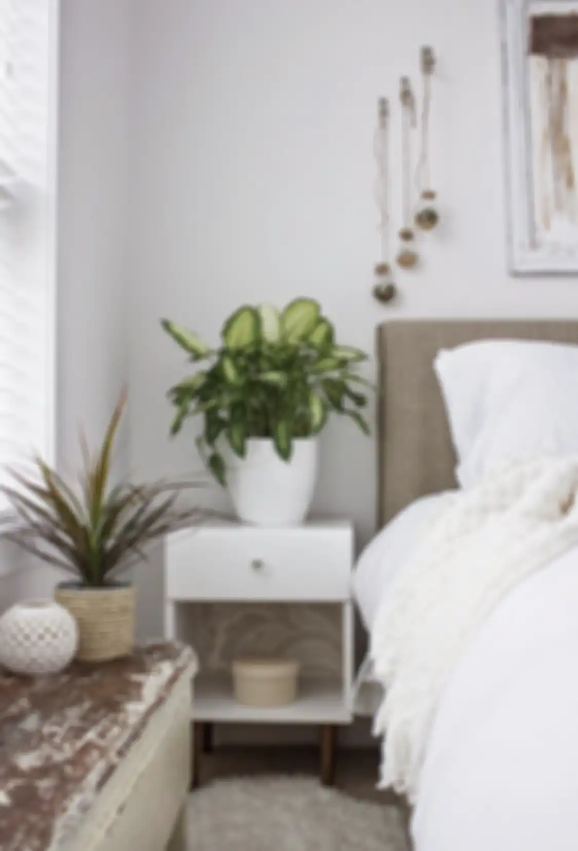 Ternyata aturan feng shui mengatakan tanaman sebaiknya dipindah dari kamar tidur. Begini penjelasan lengkapnya.