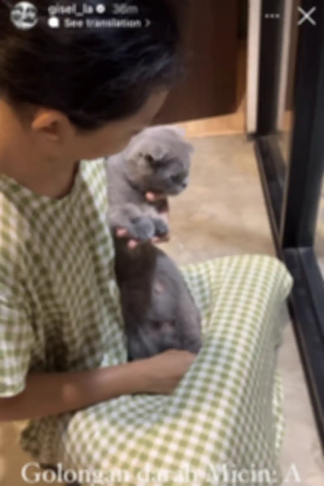 Gisel sengaja memelihara kucing demi Gempi. Ketika kucing Gisel disuntik, respons Gempi menjadi sorotan. 
