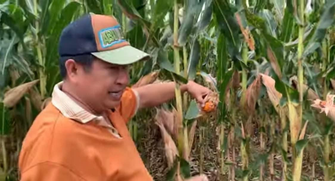 Susno Duadji mantan Kabareskrim Polri yang kini jadi petani menyebut sosok ini yang bikin ribut dalam kasus Brigadir J. Bukan Irjen Ferdy Sambo.