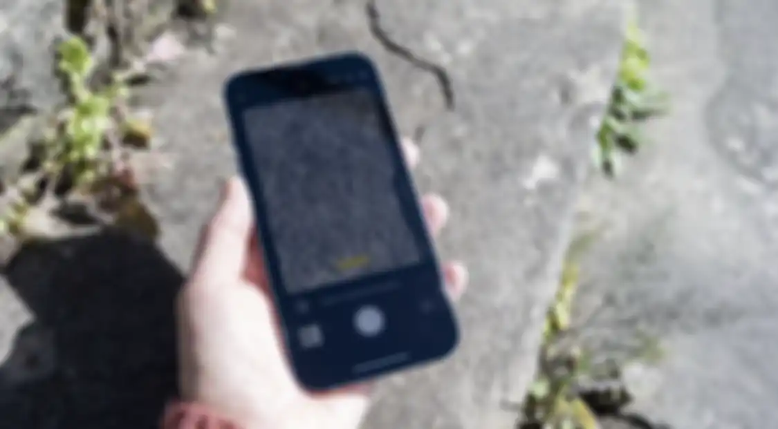 Banyak pengguna kamera HP bertanya apa kelebihan iPhone 13 Pro. Ternyata foto hasilnya ungkap kelemahan ini. 