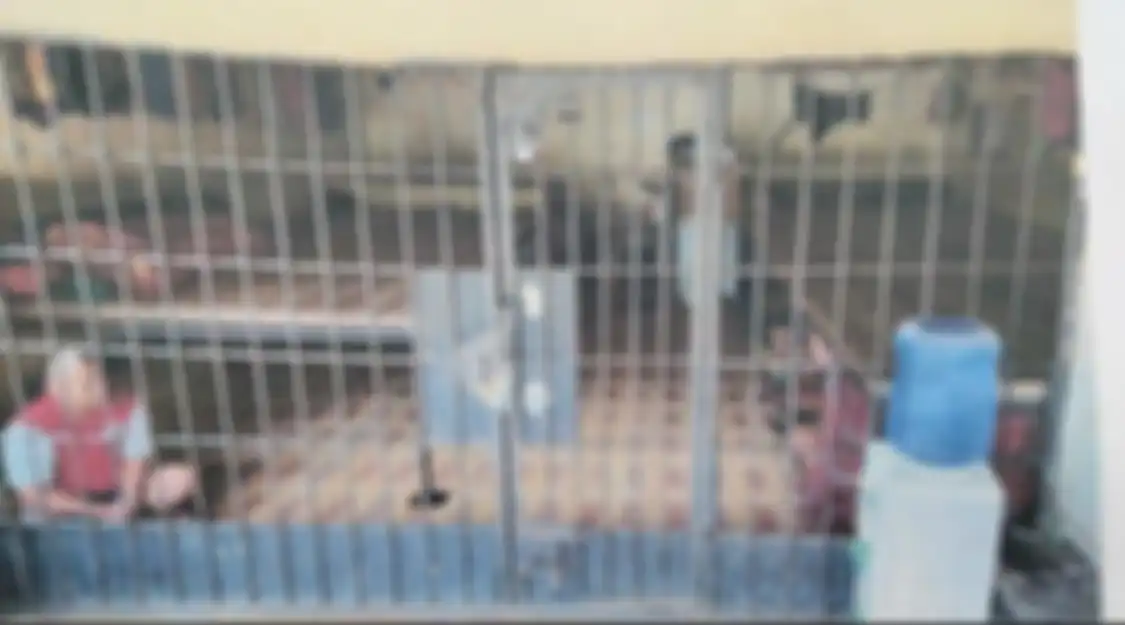 Kapolda Sumut sudah tahu foto penjara di rumah Bupati Langkat viral, tetapi belum bertindak apa-apa gegara alasan ini.