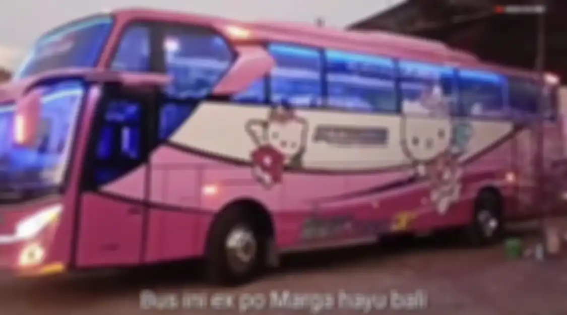 Foto netizen memberi bukti bus Pandawa yang alami kecelakaan maut di Ciamis cuma kendaraan bekas dari perusahaan ini. 