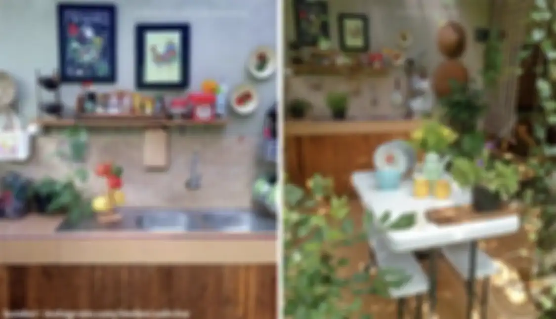 Ini trik mujarab pemilik rumah yang dipuji karena foto desain dapur terbuka semakin cantik. Tikus pun tak berani dekat-dekat.