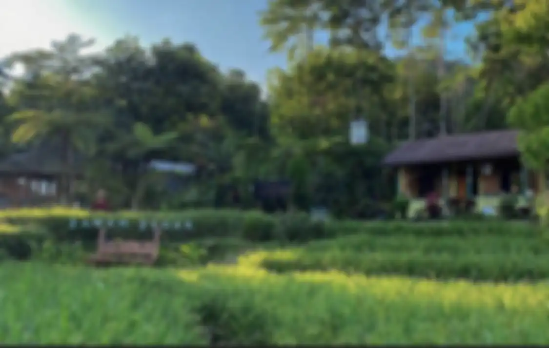 Ini 6 tempat wisata hits di Sentul yang bukan sekadar menjanjikan foto aesthetic tetapi sekaligus cocok buat healing. Buktikan sendiri deh!